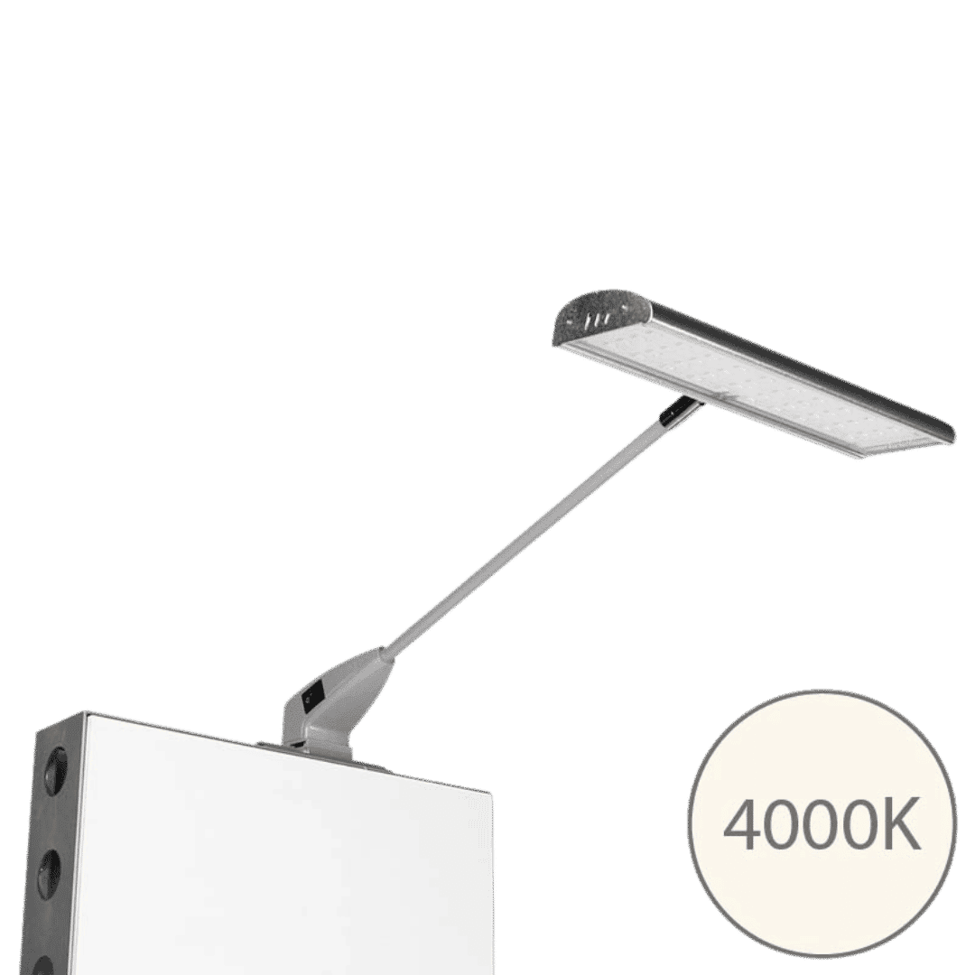 META Displayspot
